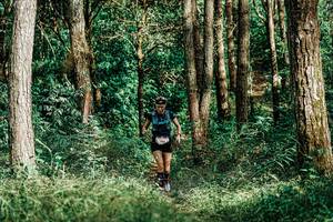 BIB: 
                            <button type="button" onclick="openModal(25237297)" class="btn btn-primary btn-sm float-right btn-popup" data-toggle="modal" data-target=".modal-high-quality">
                        <i class="fas fa-shopping-cart"></i> Add to Cart
                    </button>
                                            <button type="button" onclick="isThisMe(25237297, true)" class="btn btn-success btn-sm float-right btn-popup btn-isme hidden" data-toggle="tooltip" data-placement="bottom" title="นี่คือรูปของคุณใช่ไหม คลิกที่นี่เพื่อเอาเข้าอัลบั้ม">
                        <i class="fas fa-plus"></i> Add to album
                    </button>
                    <button type="button" onclick="isThisMe(25237297, false)" class="btn btn-warning btn-sm float-right btn-popup btn-isnotme hidden">
                        <i class="fas fa-ban"></i> Remove from album
                    </button>